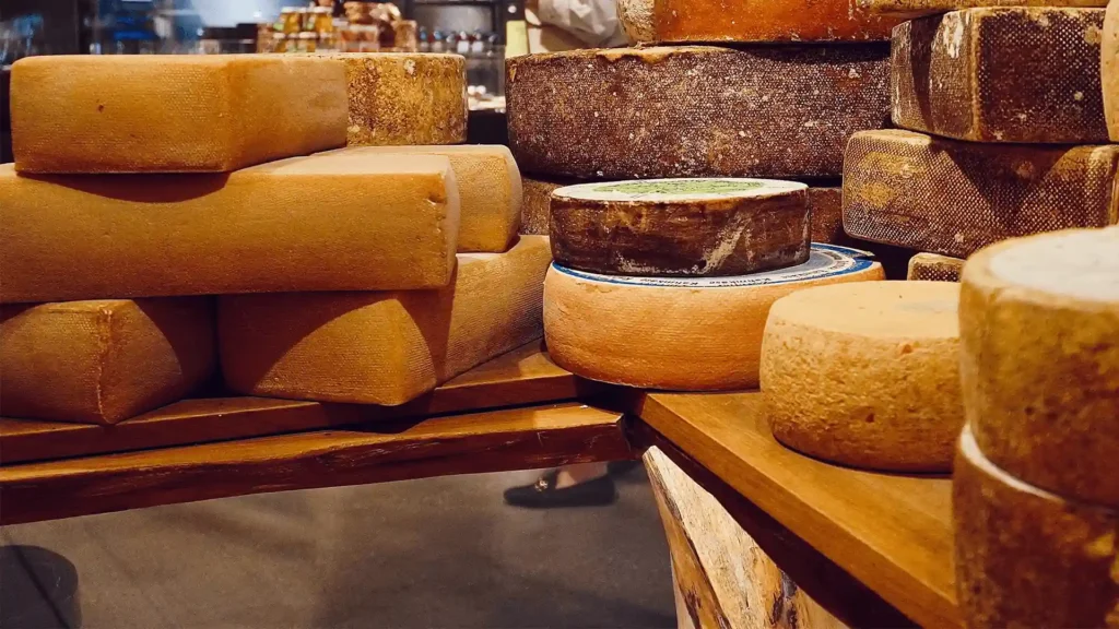 Cheese Market Forecast, Analysis, Growth Factors