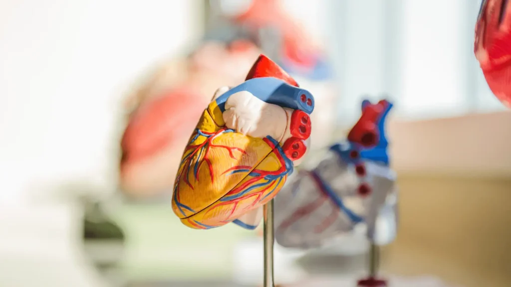 Cover Image of Ventricular Assist Device Market Growth Forecast and Analysis